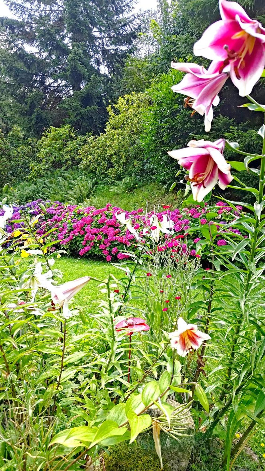 Un Jardin Secret Bed & Breakfast Yzeron Exterior photo