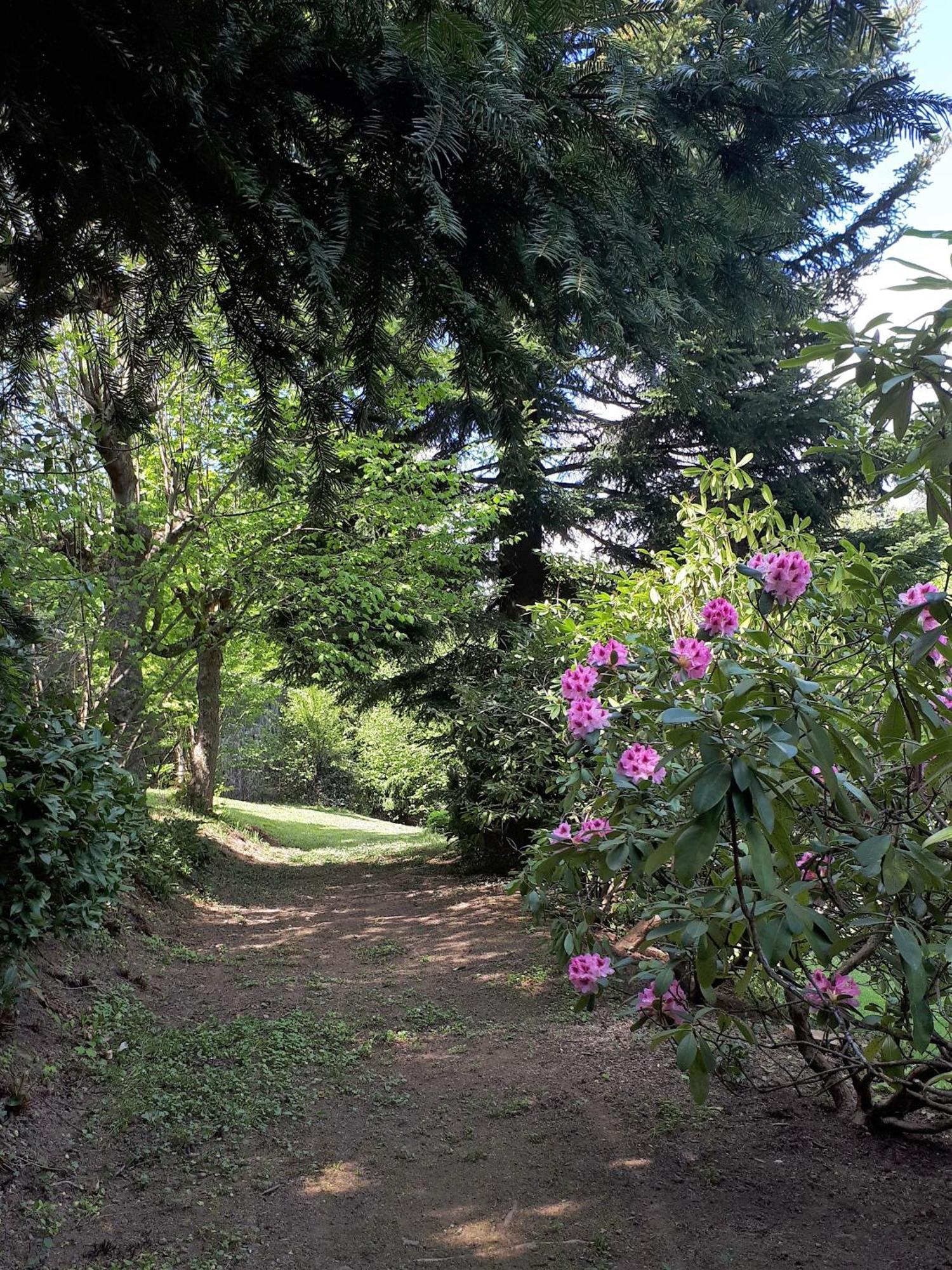 Un Jardin Secret Bed & Breakfast Yzeron Exterior photo